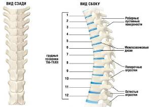 cervical back pain